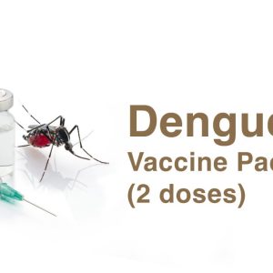Dengue Vaccine All the Cycle